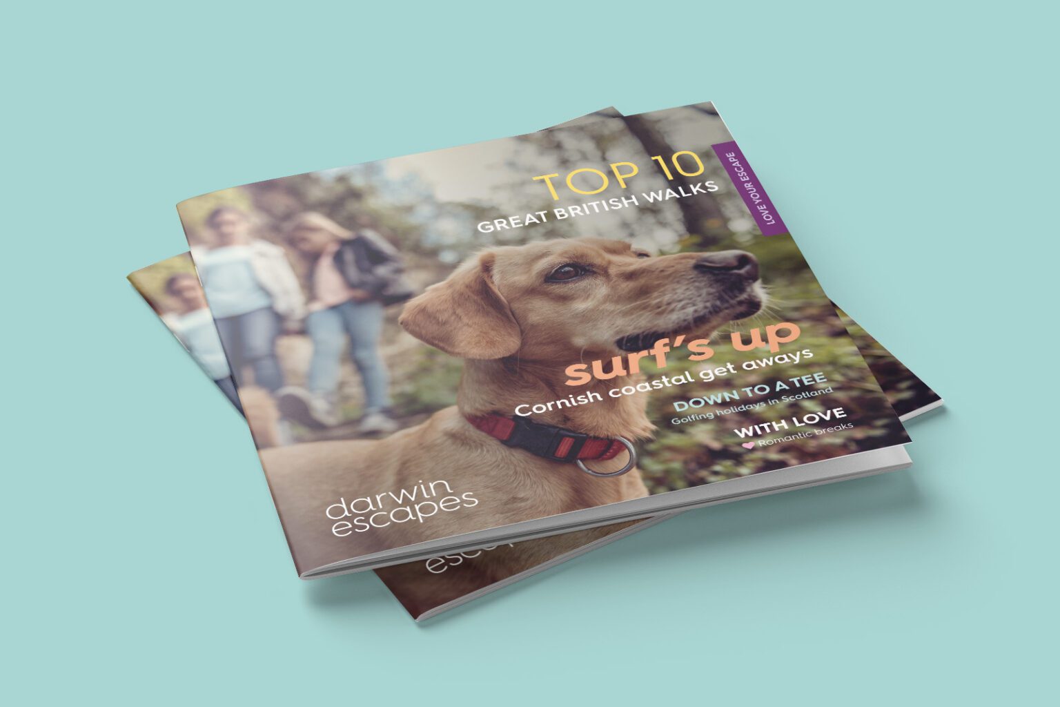 Darwin Escapes branded magazine with dog on front cover