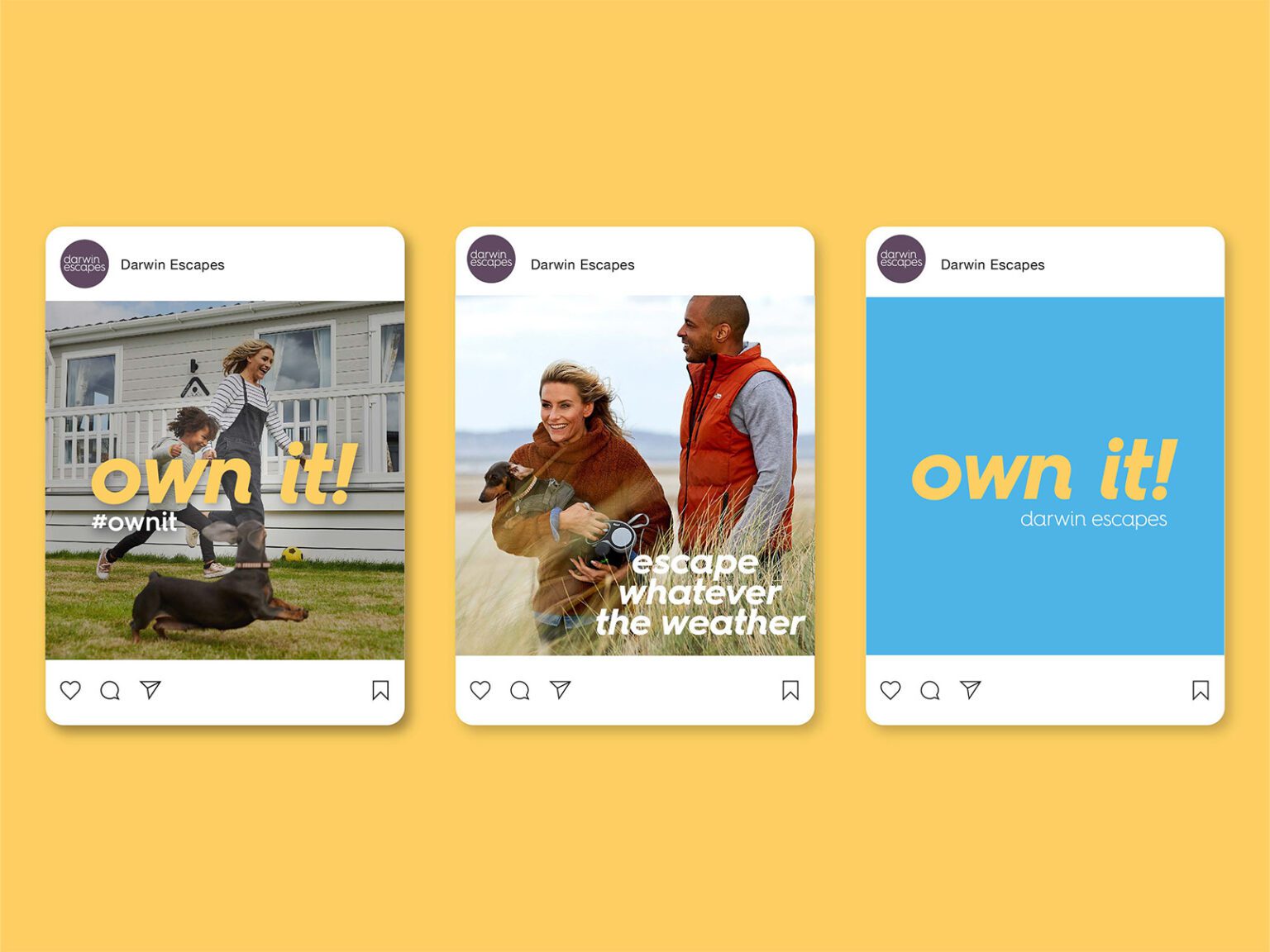 Darwin Escapes ownership campaign assets