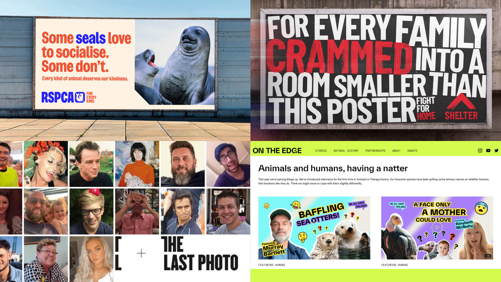 Four non-profit campaigns - RSPCA, Shelter, The Last Photo, and On The Edge.