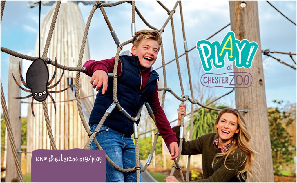 A boy and his mum play on a climbing frame in a Chester Zoo poster.